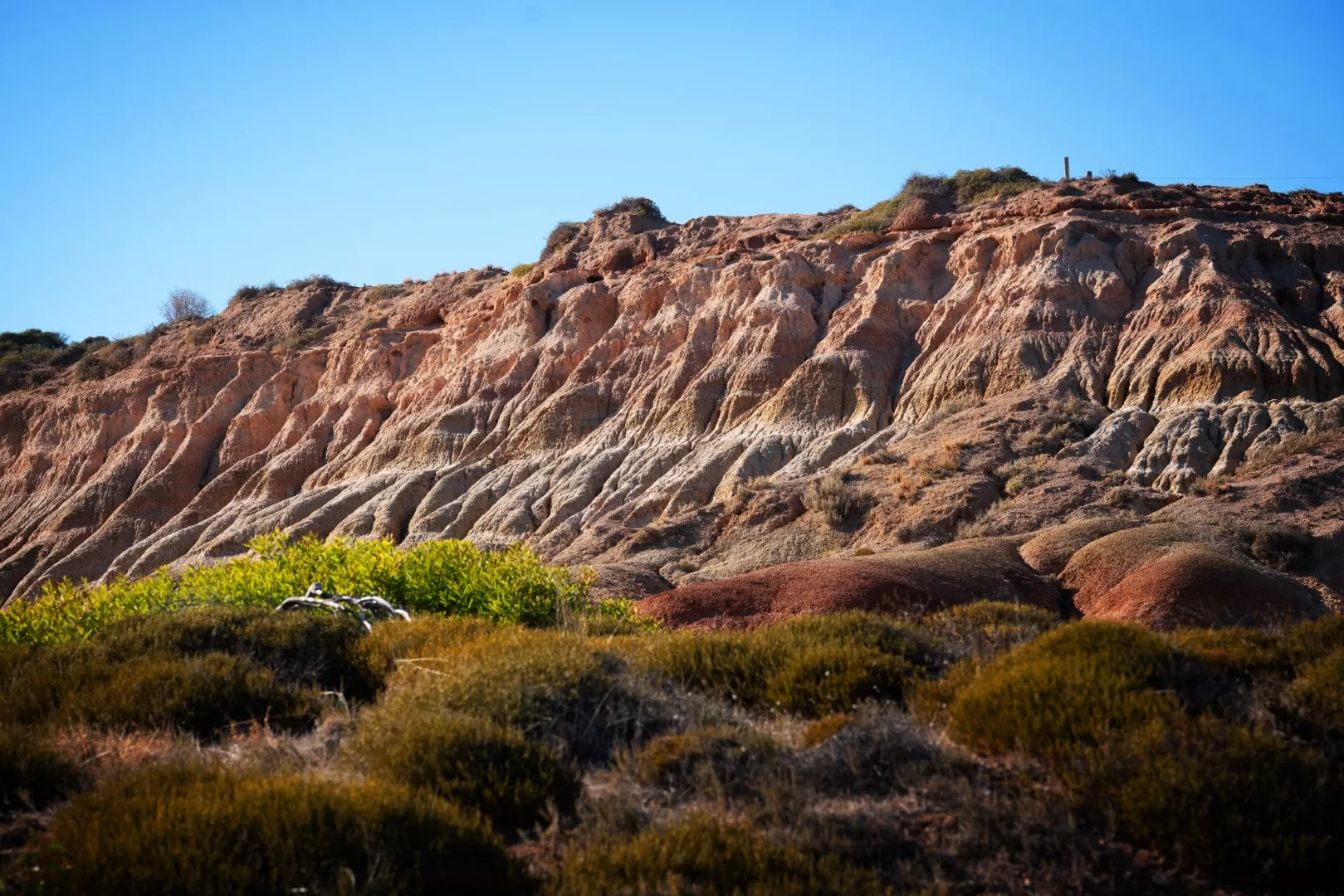 Coastal cliffs and native scrub near O'Sullivan Beach